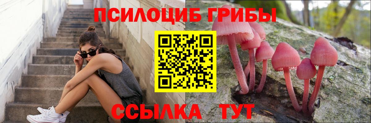 Галлюциногенные грибы GOLDEN TEACHER Омск