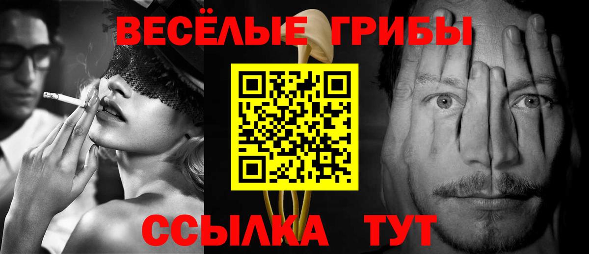 Псилоцибиновые грибы Psilocybe  Вход с VPN  Омск 