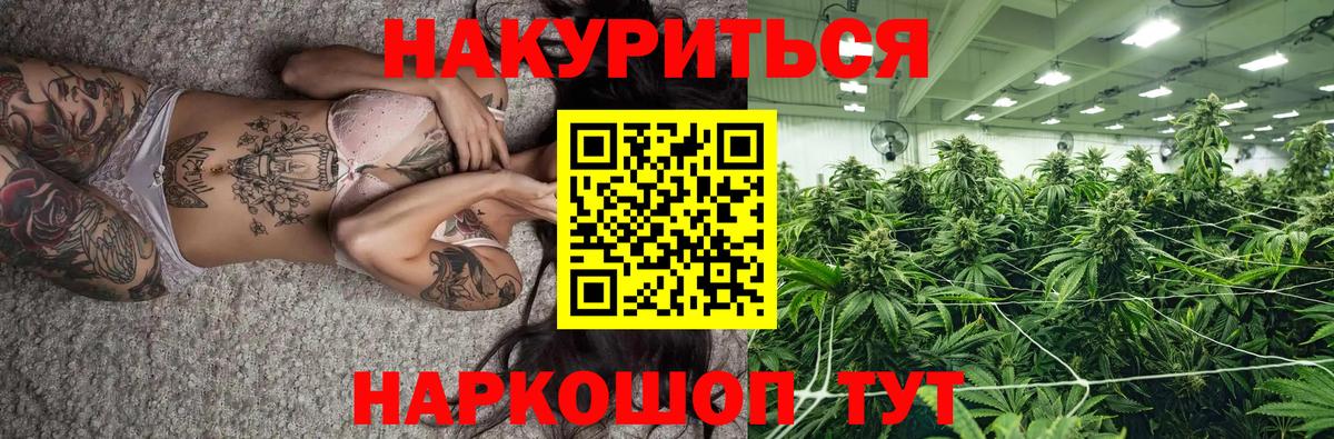 Конопля SATIVA & INDICA  МАРИХУАНА семена  Шишки марихуана AK-47  Омск  Канабис THC 21%  Вход с VPN 